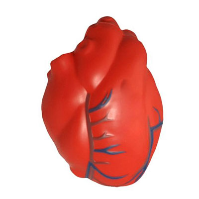 Heart with Veins Stress Toy